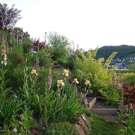 Ferienwohnung Hugelgarten Oppenau Buitenkant foto